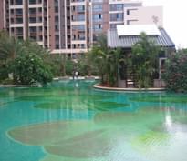 廣州華盛大學小筑泳池工程 廣州華盛大學小筑泳池工程